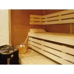 Электрическая печь для бани и сауны SAWO Scandia Combi