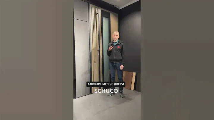 Алюминиевая дверь с декоративными панелями