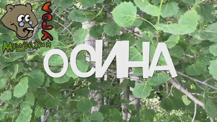 ОСИНА  (Школа травоведения)