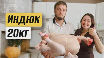 ЗАБОЙ ИНДЮКОВ ХАЙБРИД КОНВЕРТЕР: первые самцы